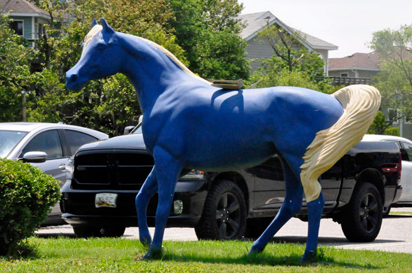 painted horse